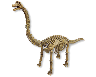 Illustration for article titled Have Your Own Night at the Museum With Fully Posable Dino Skeletons